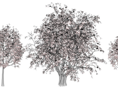 UK Rowan Tree Pack Modelo 3D