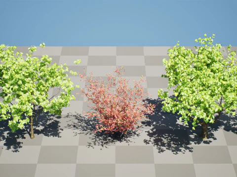 Collezione di alberi di mele cotogne britannici Modello 3D