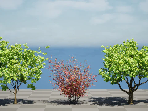 Collezione di alberi di mele cotogne britannici Modello 3D