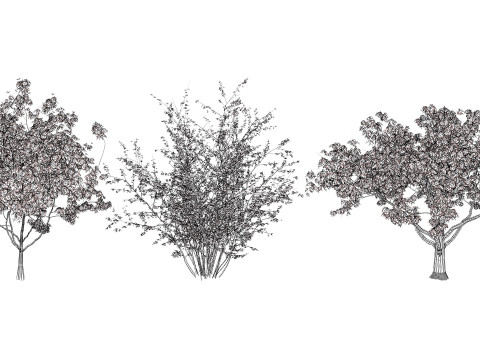 British Quince Tree Collection 3D Модель