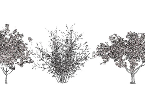 Collezione di alberi di mele cotogne britannici Modello 3D