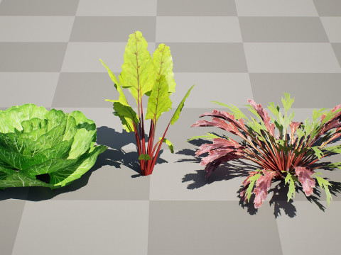 Leafy Green Plants Collection 3D 模型