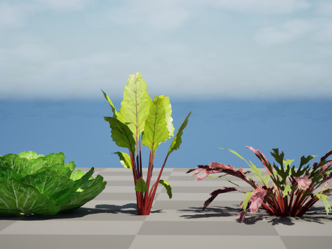 Leafy Green Plants Collection 3D 模型