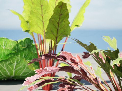 Leafy Green Plants Collection 3D 模型
