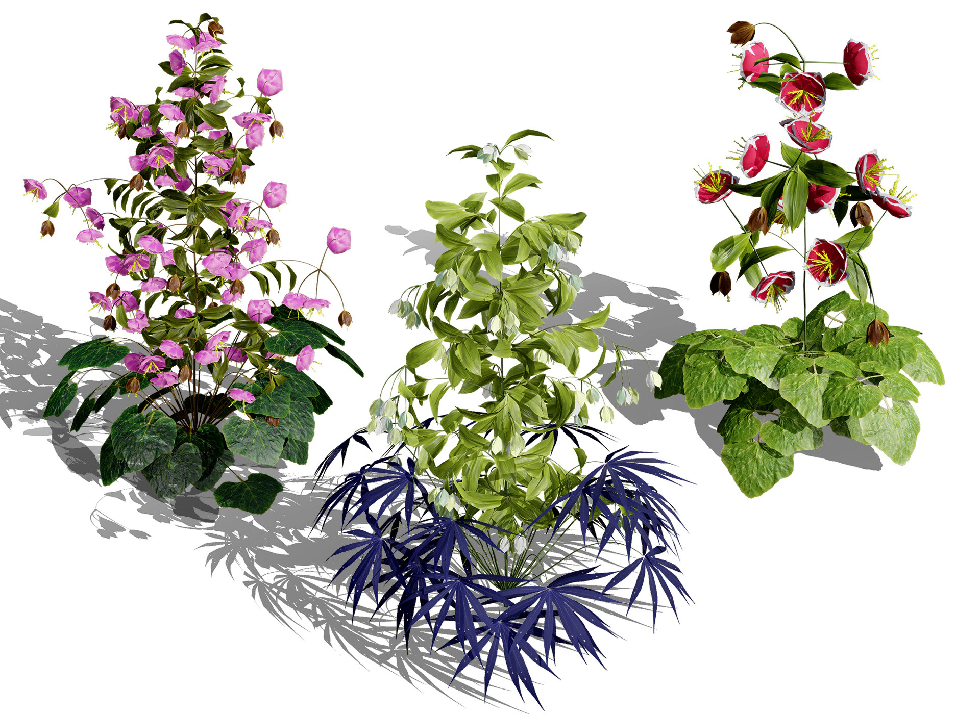 British Hellebores 3D Plant Collection 3D Model .c4d .max .obj .3ds .fbx .stl .blend 