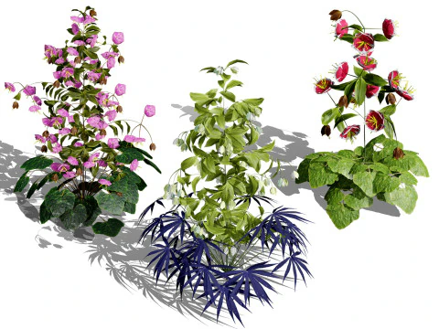 Британські морозники 3D колекція рослин 3D Модель