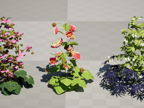 British Hellebores 3D Plant Collection 3D 模型