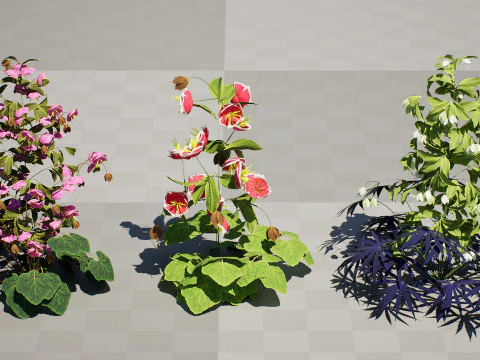 British Hellebores 3D Plant Collection 3D Model