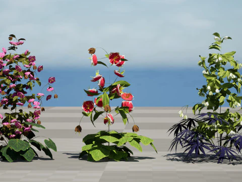 British Hellebores 3D Plant Collection 3D Model