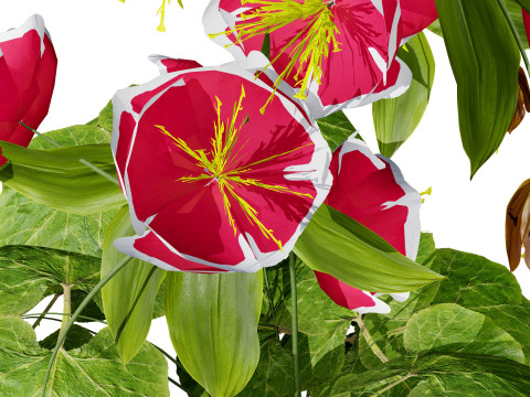 British Hellebores 3D Plant Collection 3D 模型