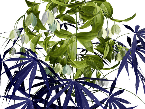 British Hellebores 3D Plant Collection 3D 模型