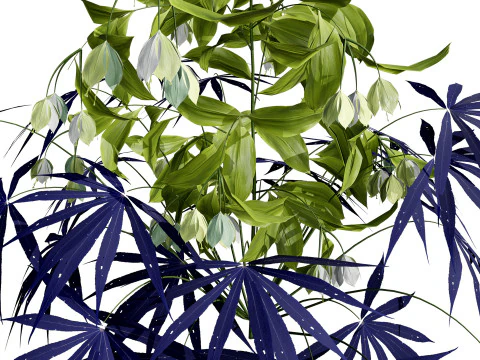 British Hellebores 3D Plant Collection 3D Model