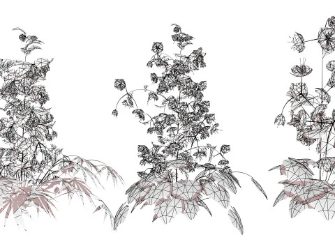 British Hellebores 3D Plant Collection 3D Model
