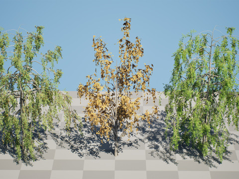 British Weeping Birch Pack 3D 모델