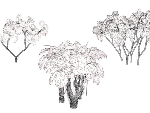 Südafrikanisches Doumpalmenpaket 3D Modell