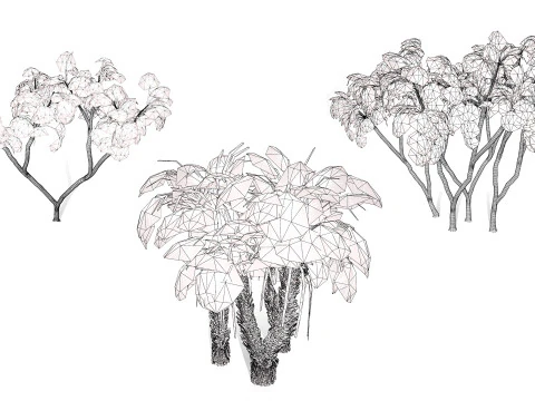 Pacchetto di palme Doum sudafricano Modello 3D