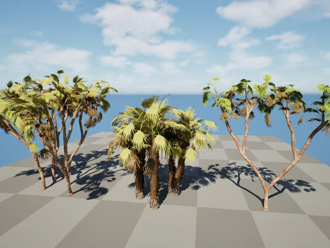 Pacchetto di palme Doum sudafricano Modello 3D