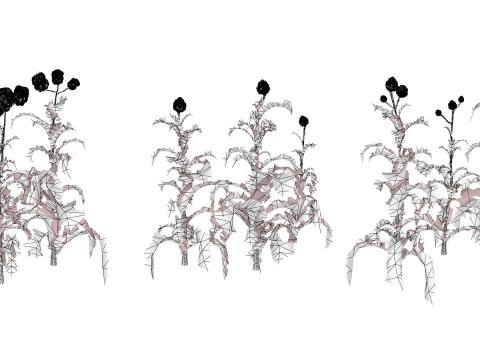 Collezione di piante di carciofo 3D realistica Modello 3D