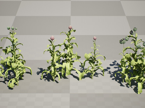 Realistic 3D Artichoke Plant Collection Modelo 3D