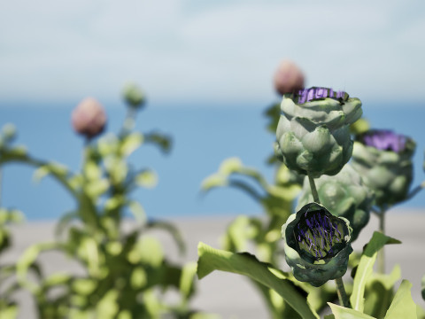 Realistic 3D Artichoke Plant Collection Modelo 3D