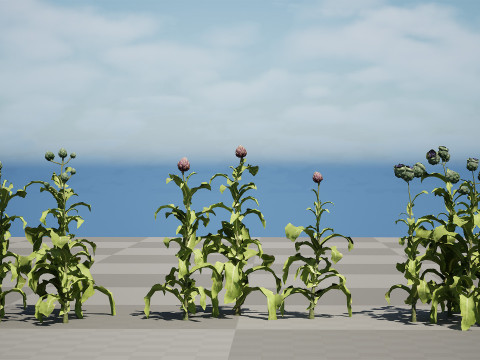 Realistic 3D Artichoke Plant Collection Modelo 3D
