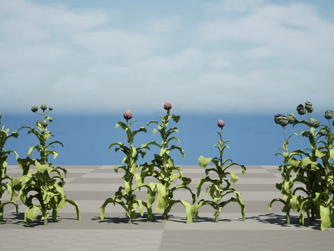 Collezione di piante di carciofo 3D realistica Modello 3D