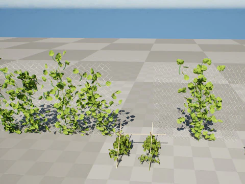 Realistic 3D Bean Plant Collection 3D Model