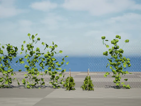 Realistic 3D Bean Plant Collection 3D Model