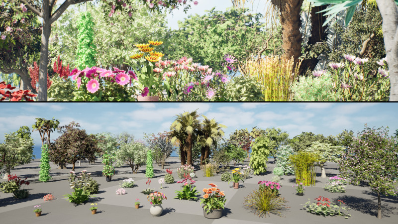 Realistic South African Vegetation s 3D मॉडल .c4d .max .obj .3ds .fbx .stl .blend 