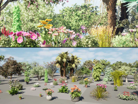 V&eacute;g&eacute;tation sud-africaine r&eacute;aliste Modèle 3D