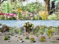 Realistic South African Vegetation s Model 3D