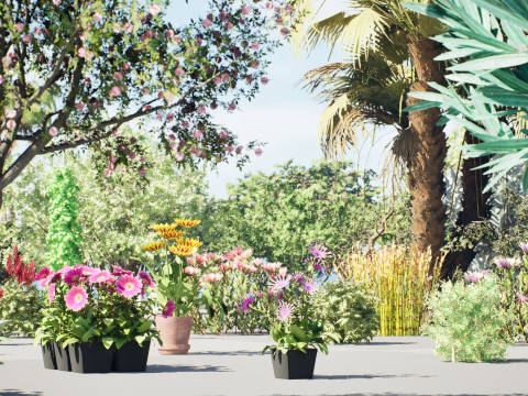 Realistic South African Vegetation s 3D मॉडल