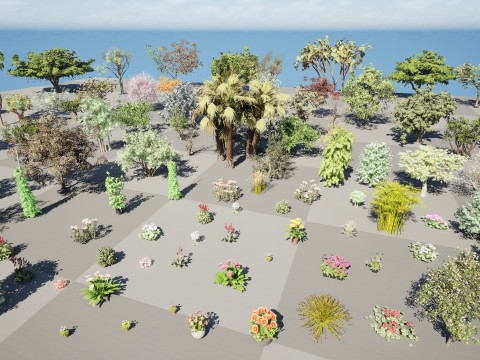 Realistic South African Vegetation s 3D मॉडल