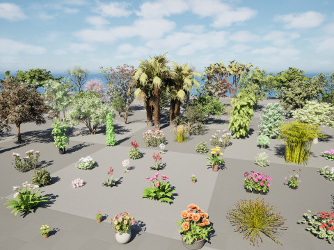 Realistic South African Vegetation s 3D मॉडल