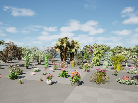 Realistic South African Vegetation s 3D मॉडल