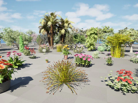 Realistic South African Vegetation s 3D Model