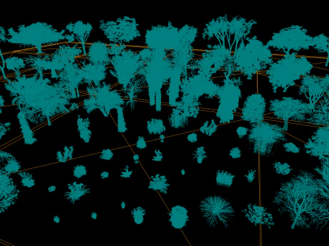Realistic South African Vegetation s 3D Model