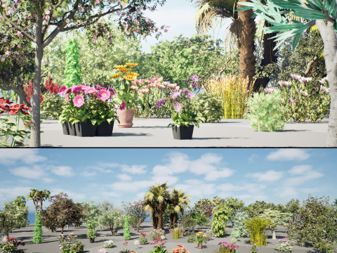 Realistic South African Vegetation s 3D मॉडल