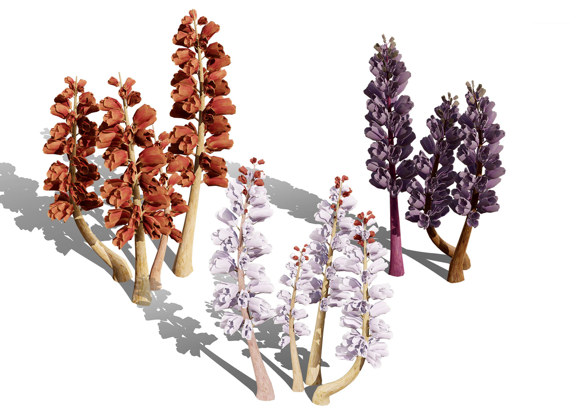 British Thyme Broomrape 3D Model .c4d .max .obj .3ds .fbx .stl .blend 