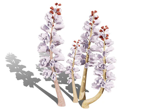 British Thyme Broomrape 3D Model