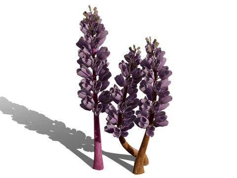 British Thyme Broomrape 3D Model