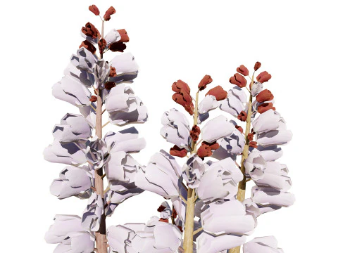 British Thyme Broomrape 3D Model