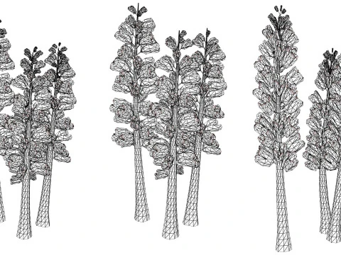 British Thyme Broomrape 3D Model