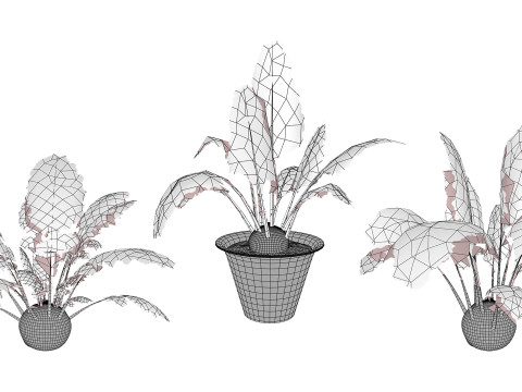 Kohlrabi Vegetable Plants Pack 3D Model