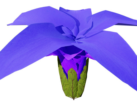 Spring Gentian Pasqueflower 3D Pack 3D 模型