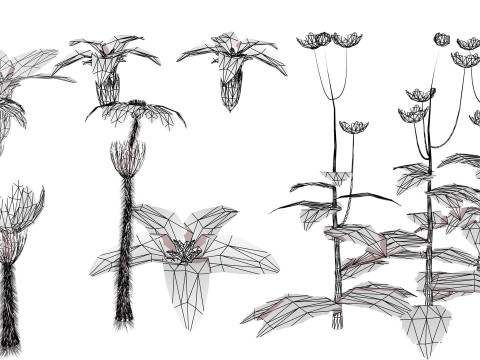 Spring Gentian Pasqueflower 3D Pack 3D 模型