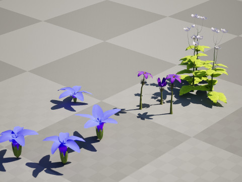 Spring Gentian Pasqueflower 3D Pack 3D 模型