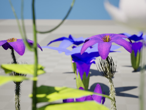 Spring Gentian Pasqueflower 3D Pack 3D 模型