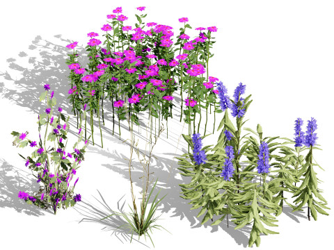 Game Ready Wildflower Foliage Pack Model 3D