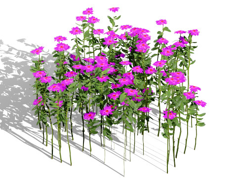Game Ready Wildflower Foliage Pack Modello 3D